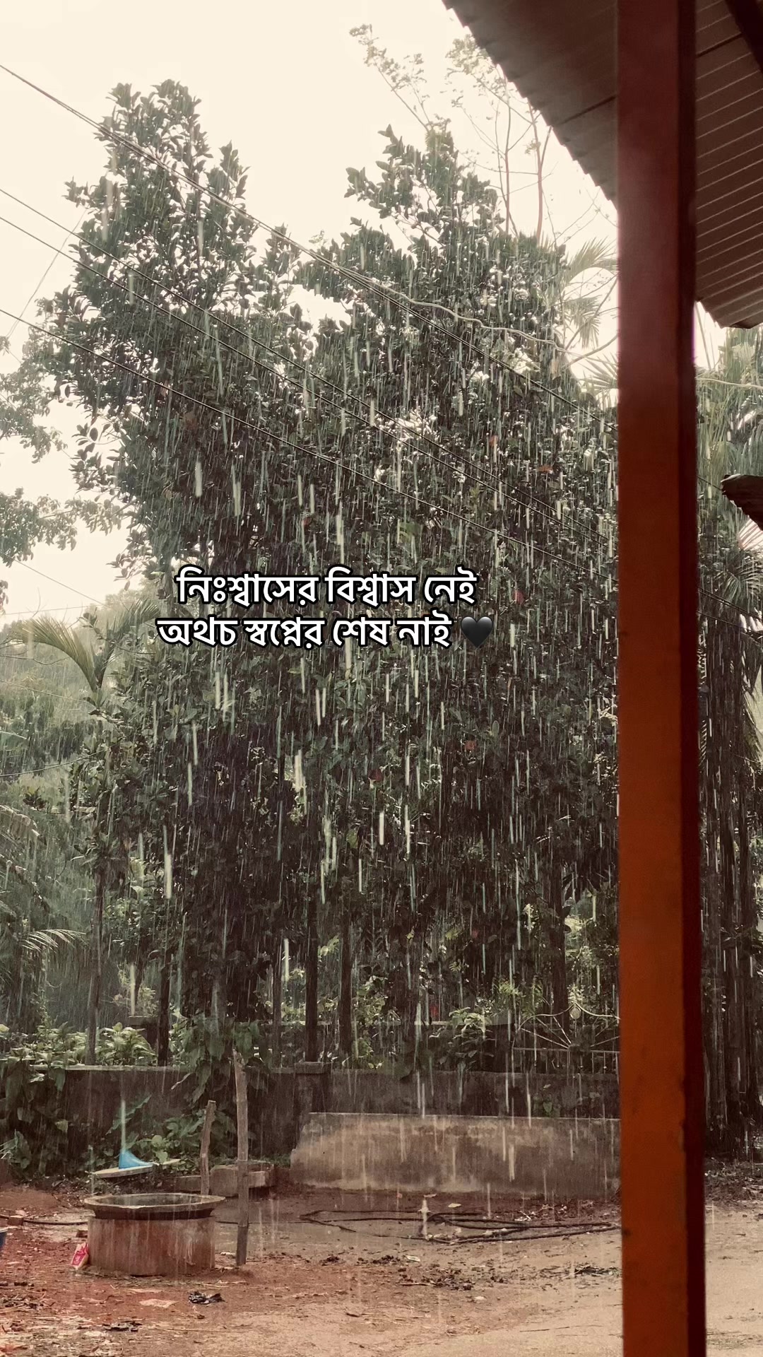 @_নিখোঁজ_
