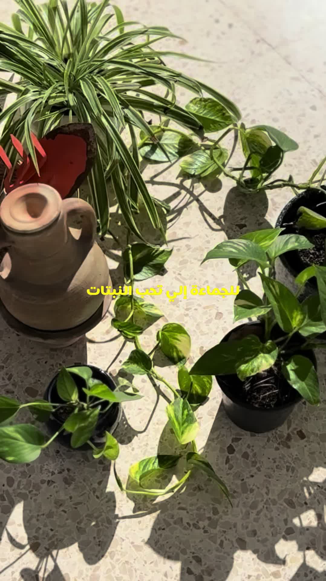 @decotek