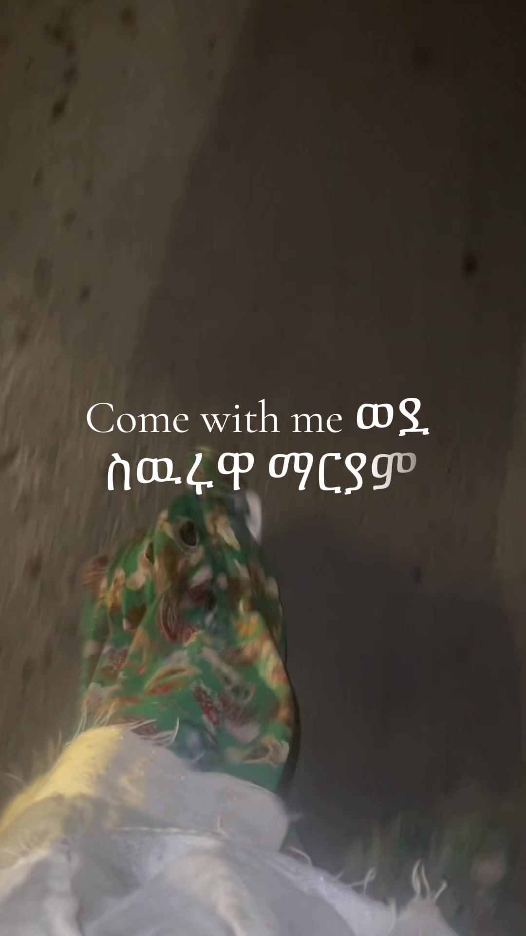 @rediet