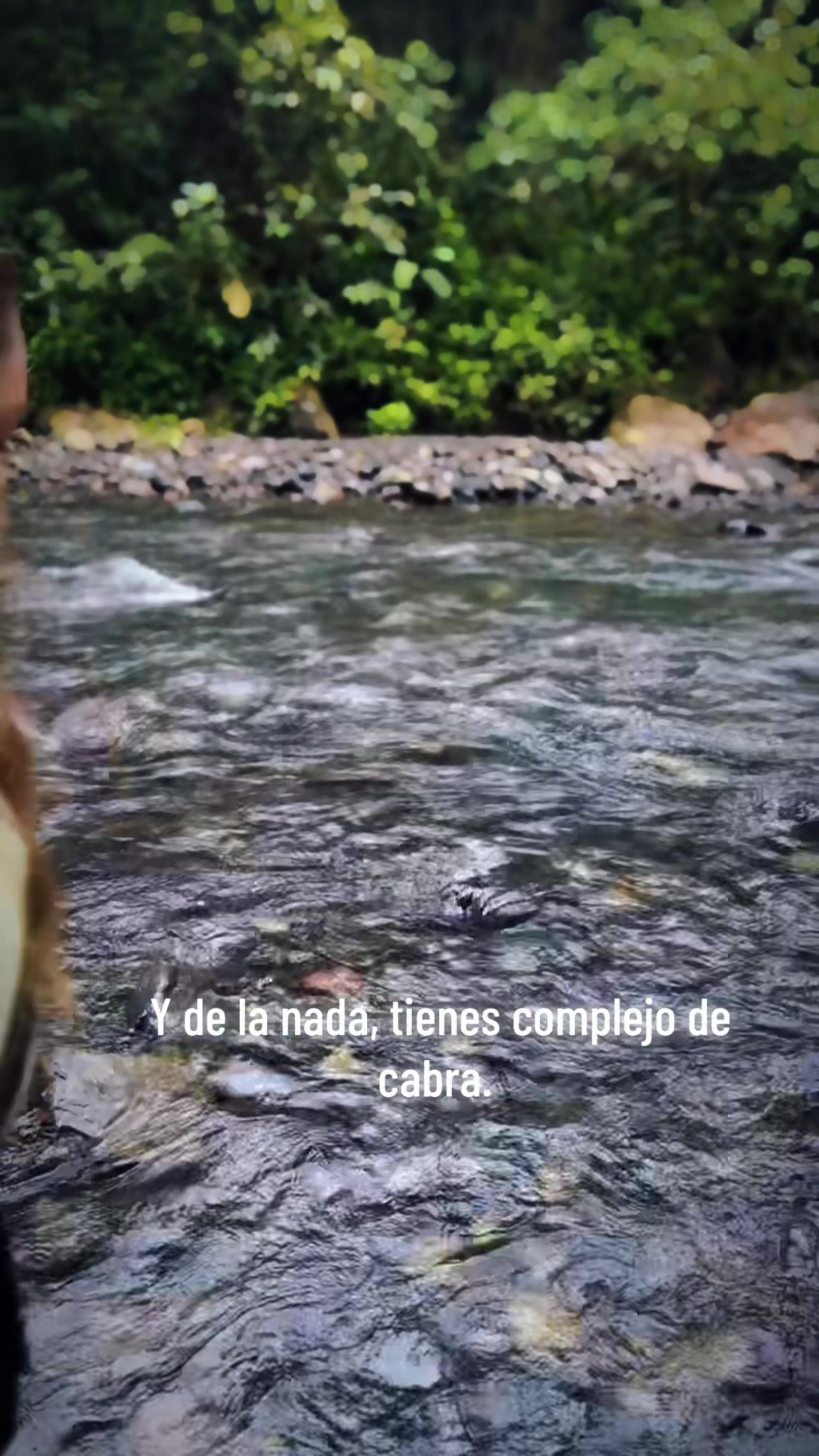 @Laddy bella cepeda