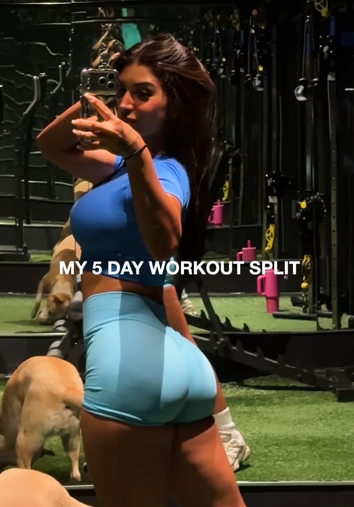 @Barbara Silva