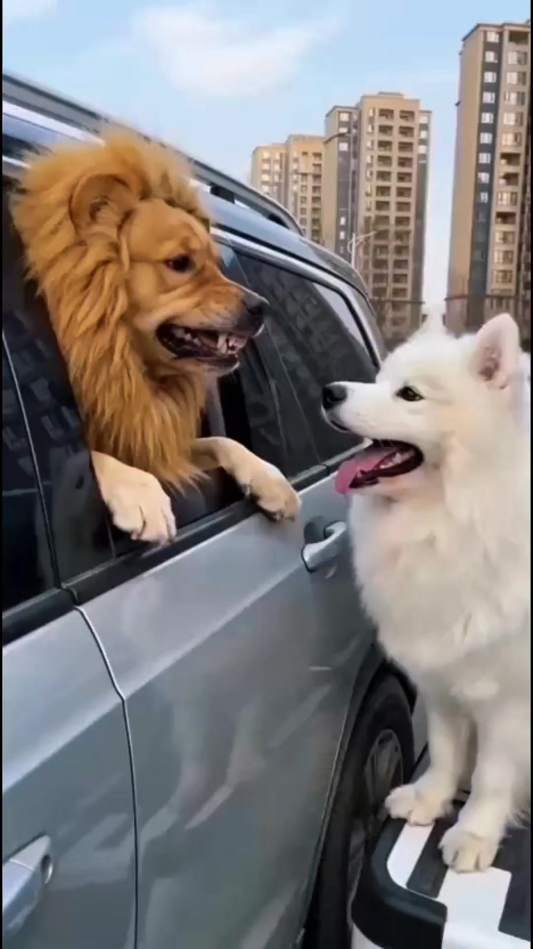 @이행운 333