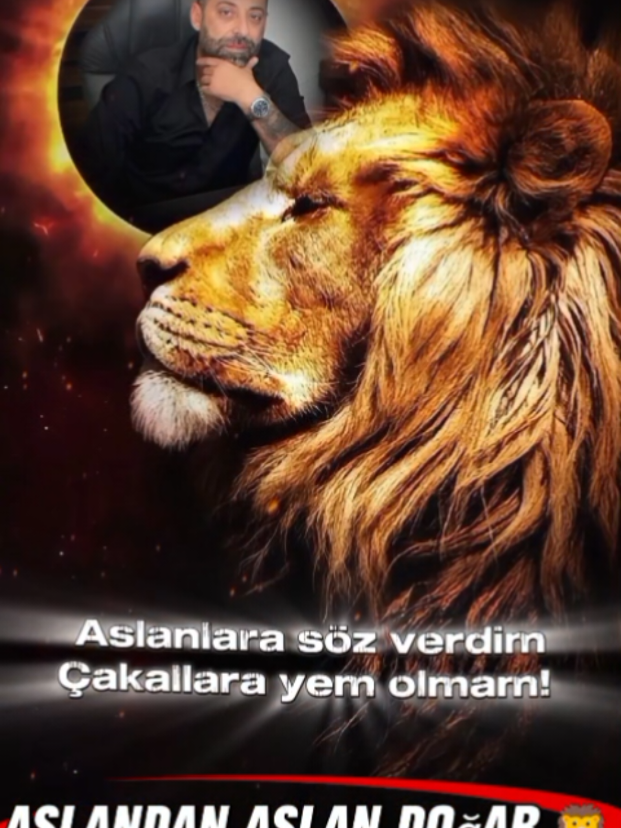 @༺✮•°◤ İ𝙕 ◥°•✮༻