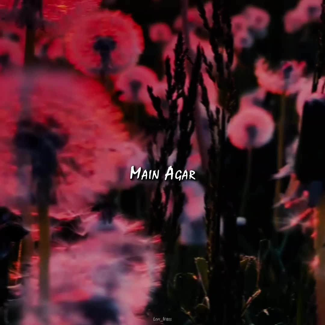 @lofi_Vibes