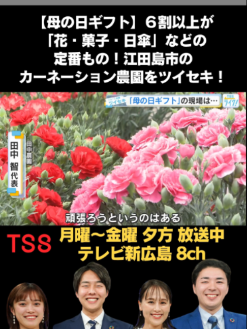 @テレビ新広島公式TikTok