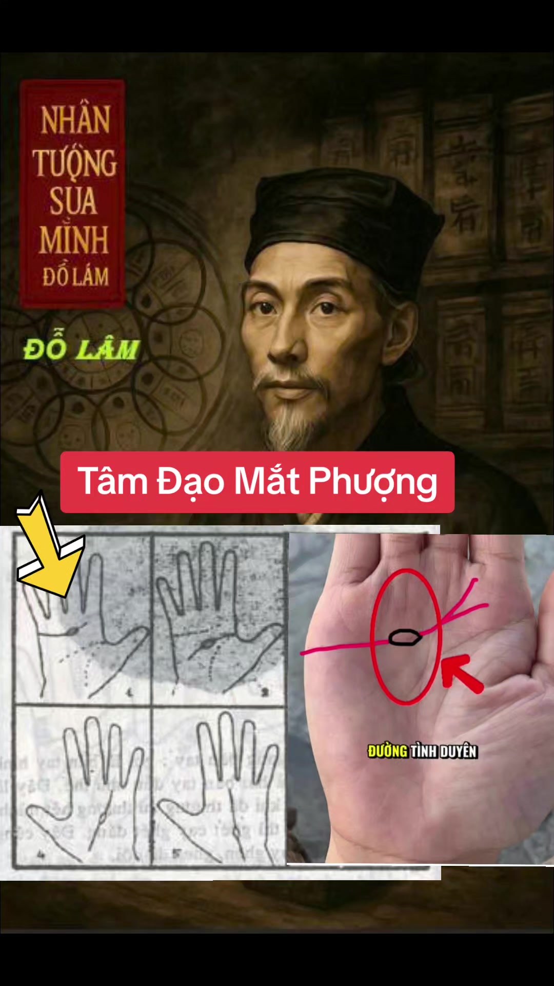 @Nhân Tướng Sửa Mình (Đỗ Lâm)