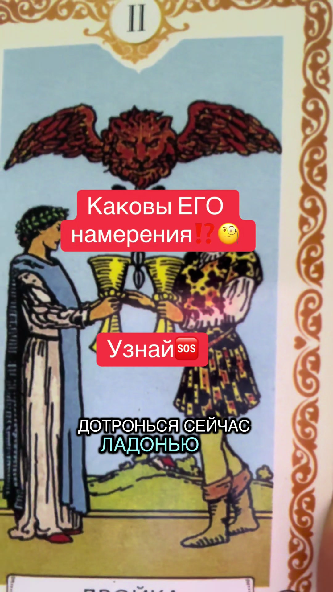 @gadalkaruzi