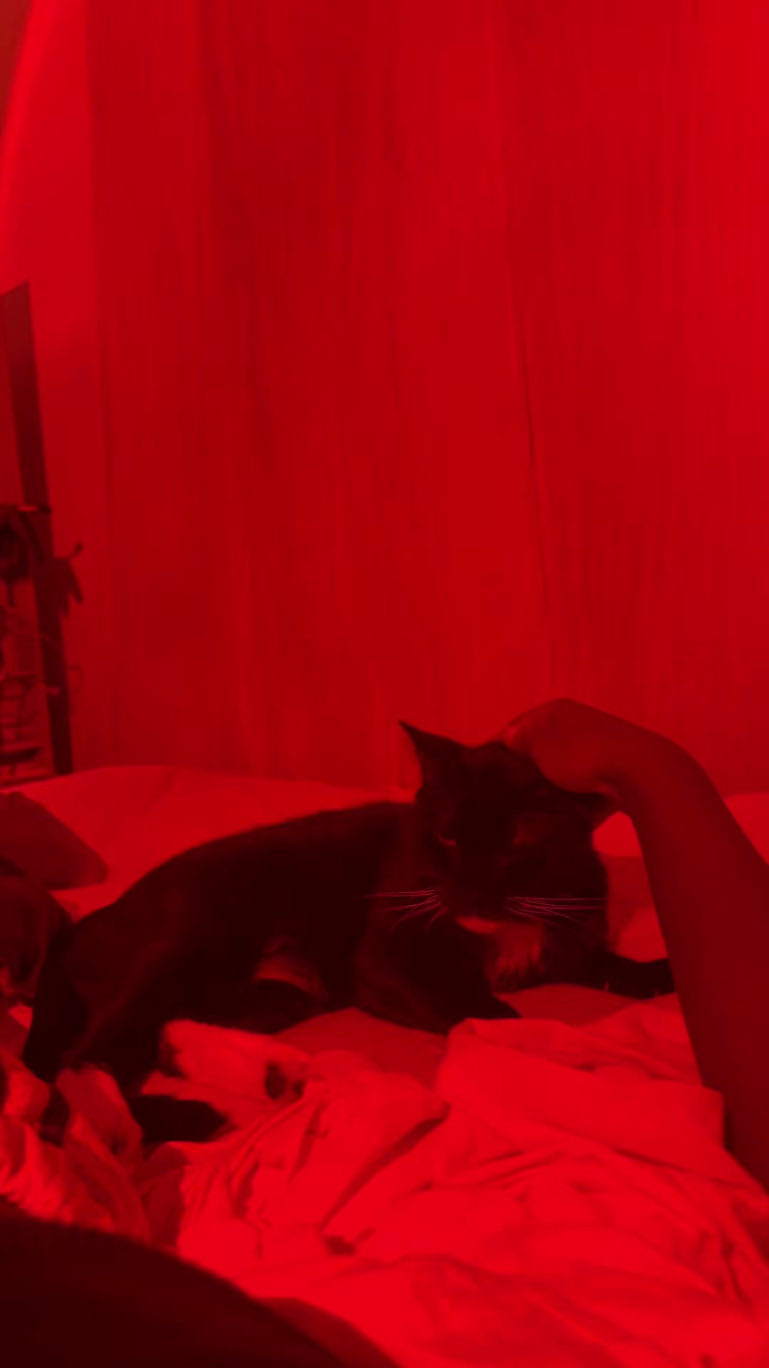 @kimasa