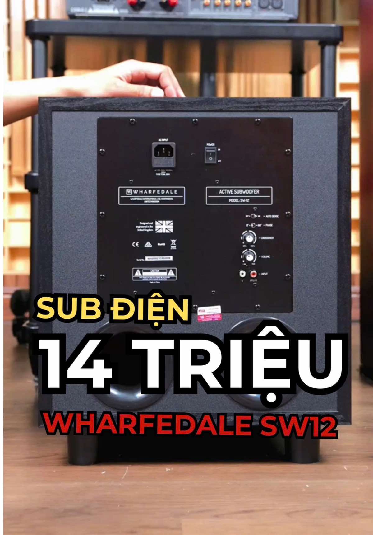 @D&aacute;t V&agrave;ng M&agrave;ng Nhĩ 🎼