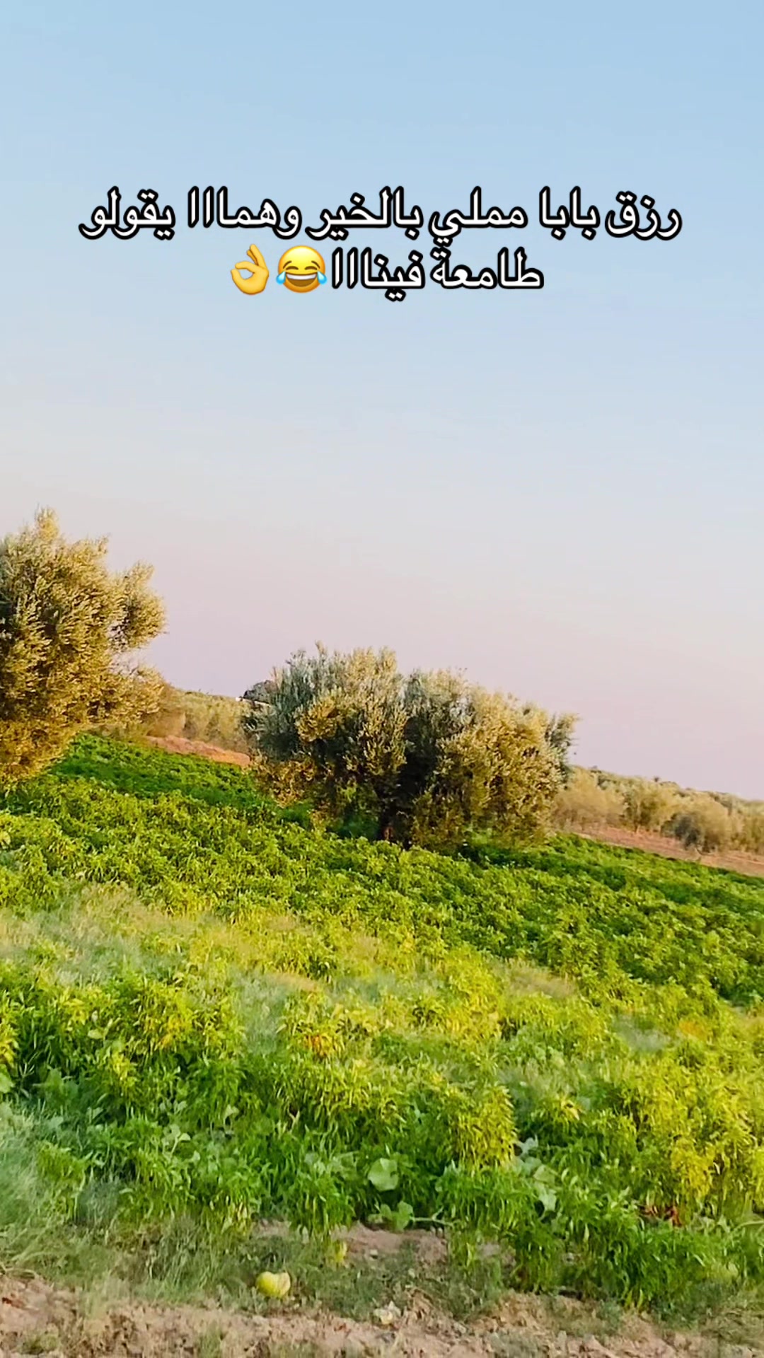 @siwar.bl.20