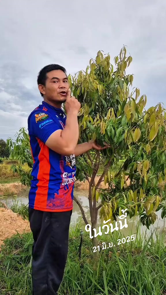 @Konloy