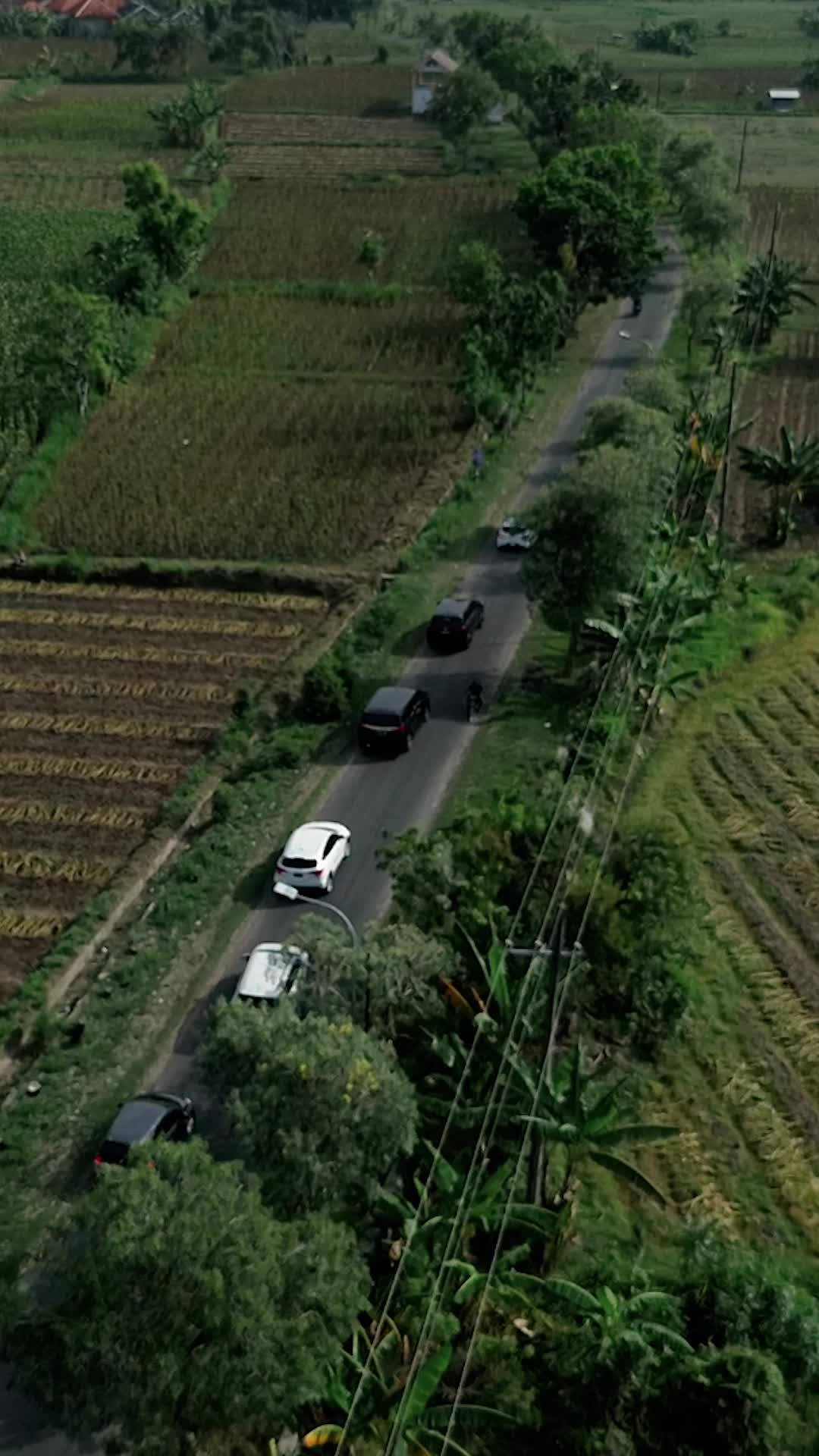 @Luklual M