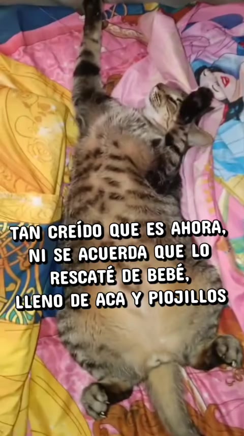 @QuimeyMacarena