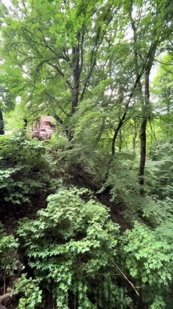 @Ilya based[Z🪏🇺🇦]