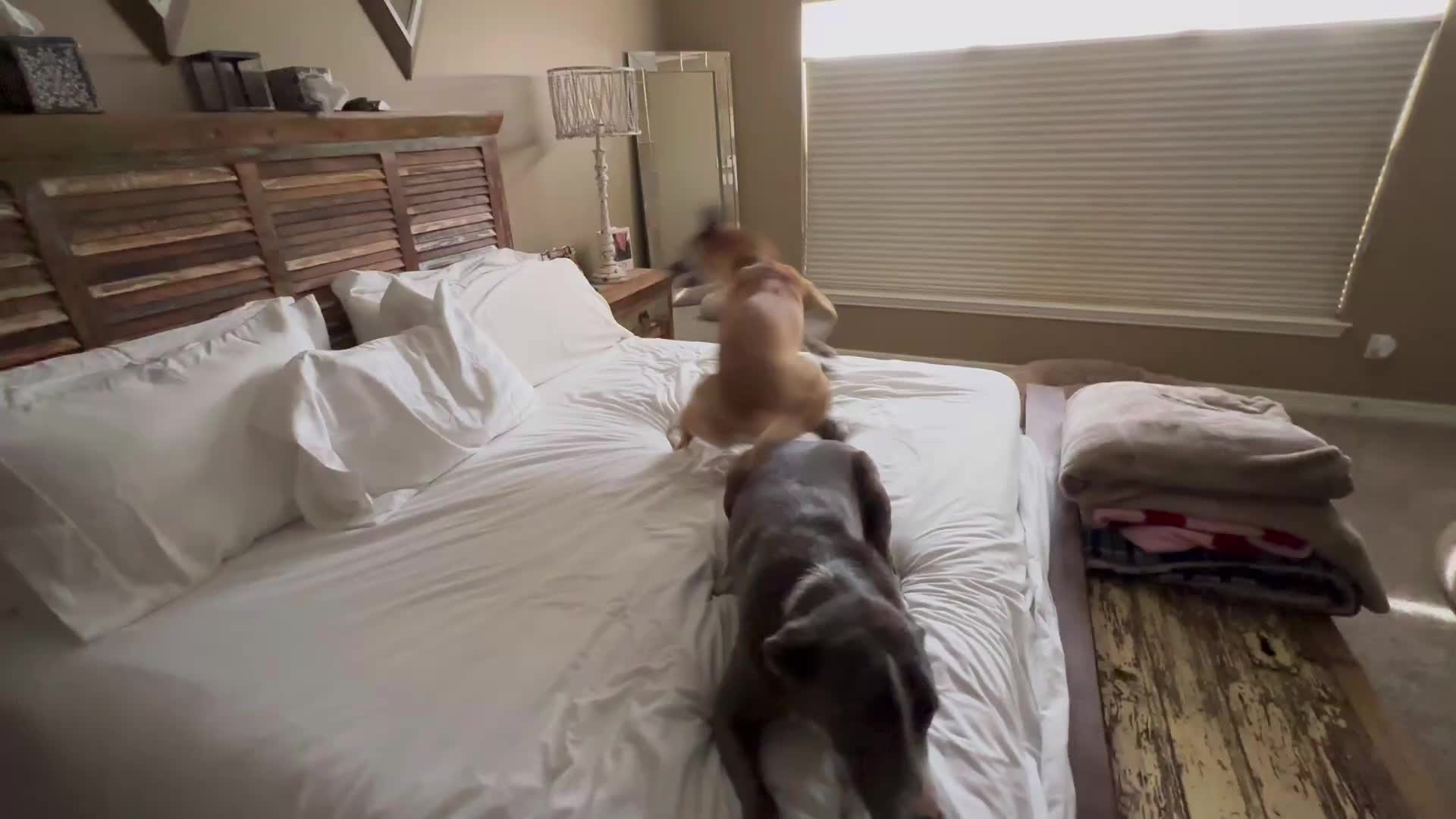 @RedmannFive