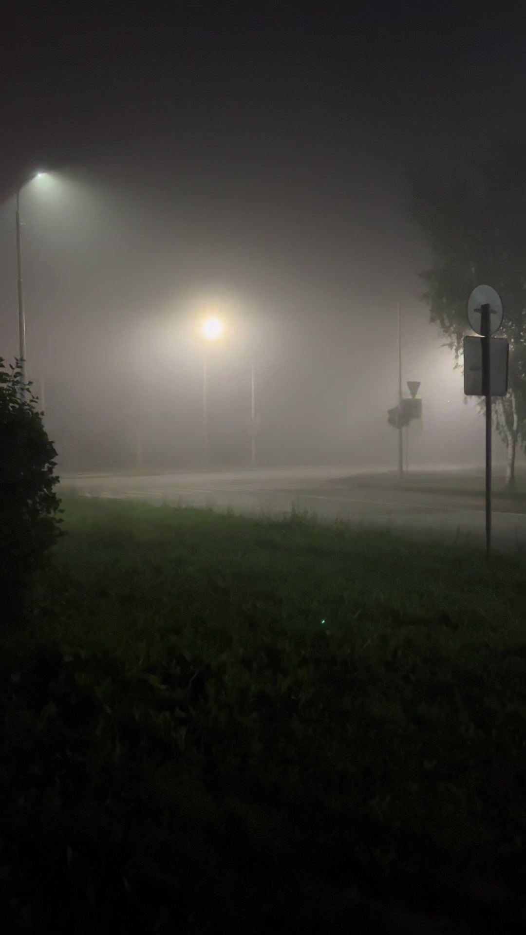 @xt3mpledrive🌫️