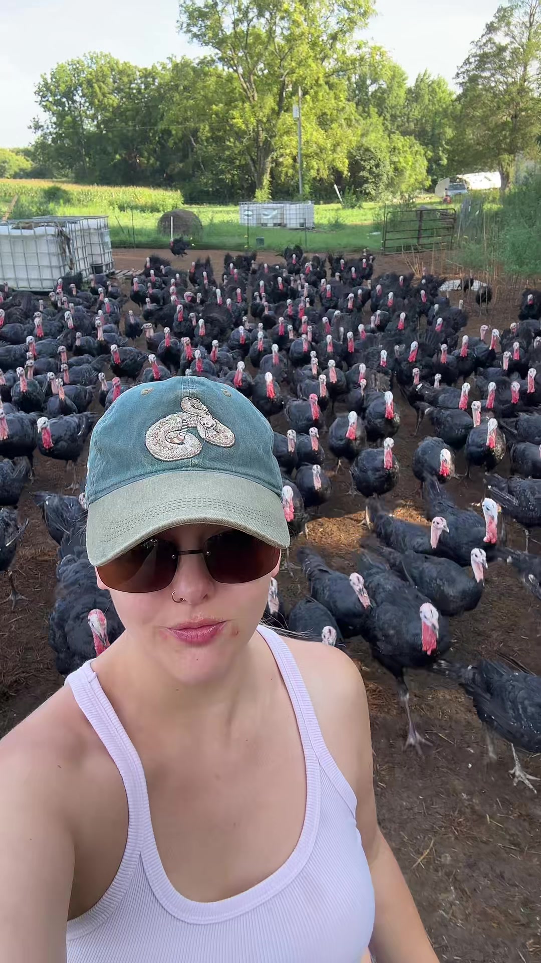 @farmerandtheharpiist