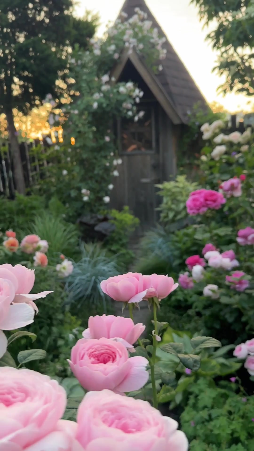 @flowerð¹ðžð¿