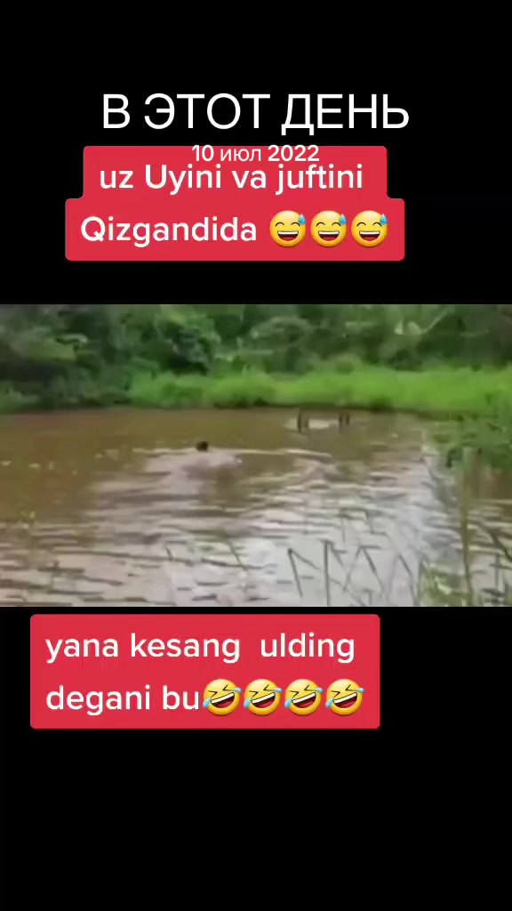 @Saidovich_💬