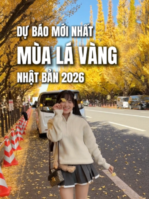 @Đi Nhật Cùng Nhâm