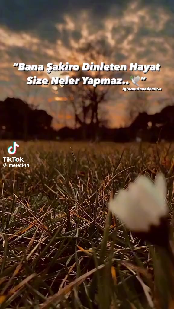 @Senol Ceylan740