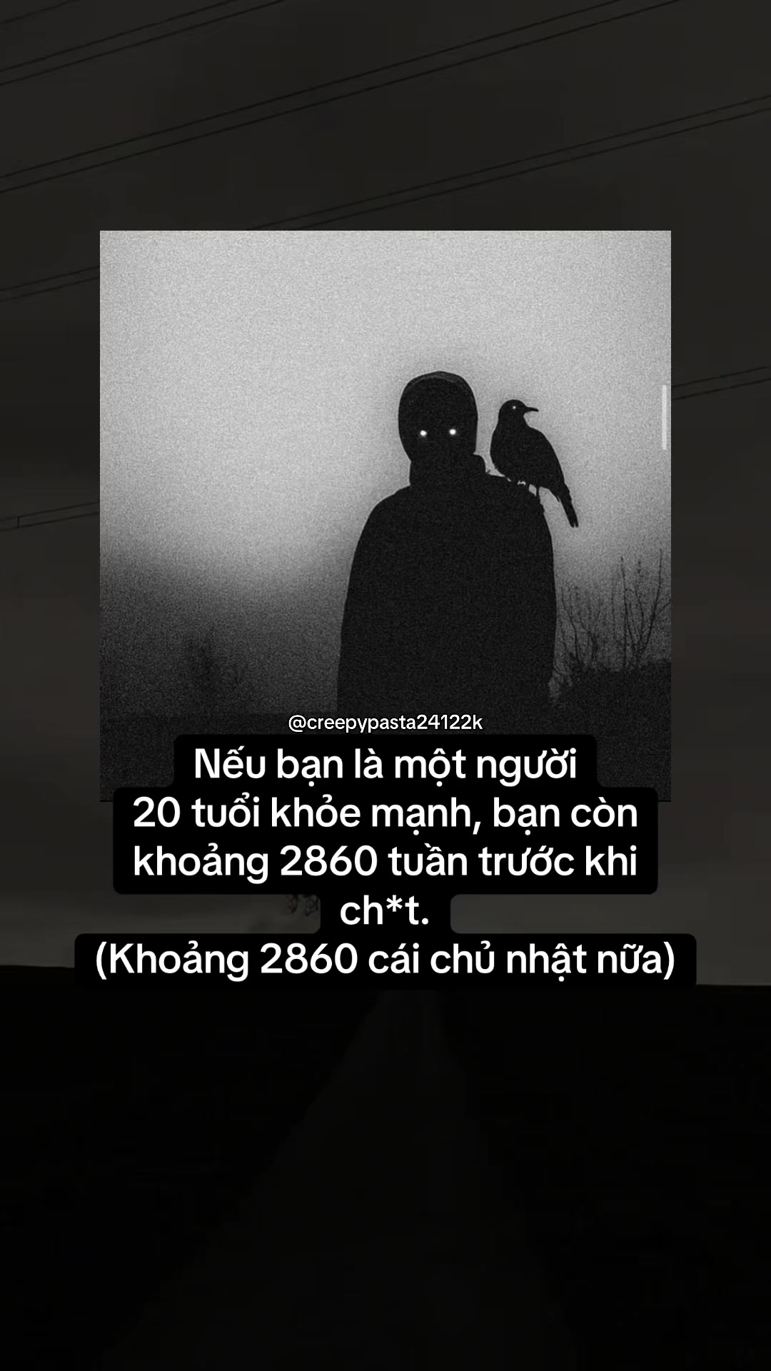 @𝐂𝐎𝐃𝐄𝐗