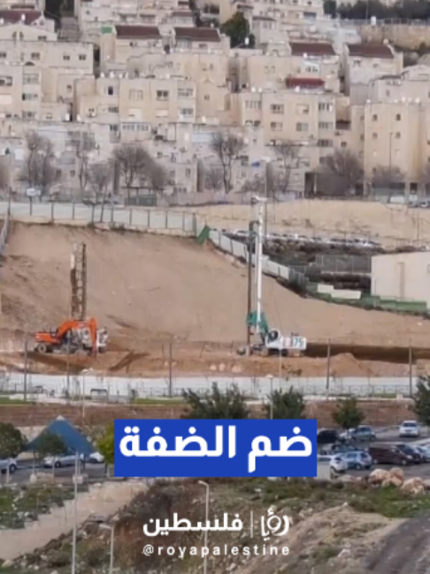 @Royapalestine رؤيا فلسطين