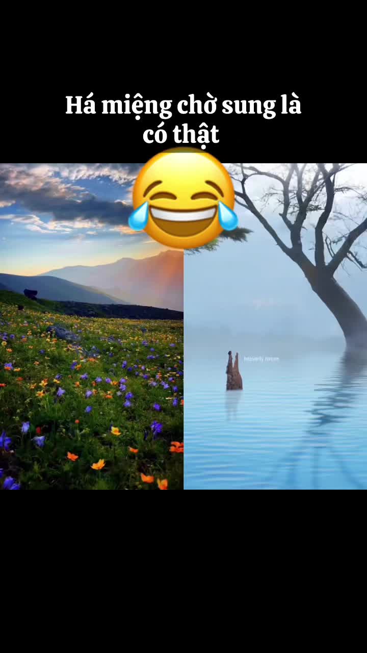 @THẾ GIỚI ĐỘNG VẬT 💧