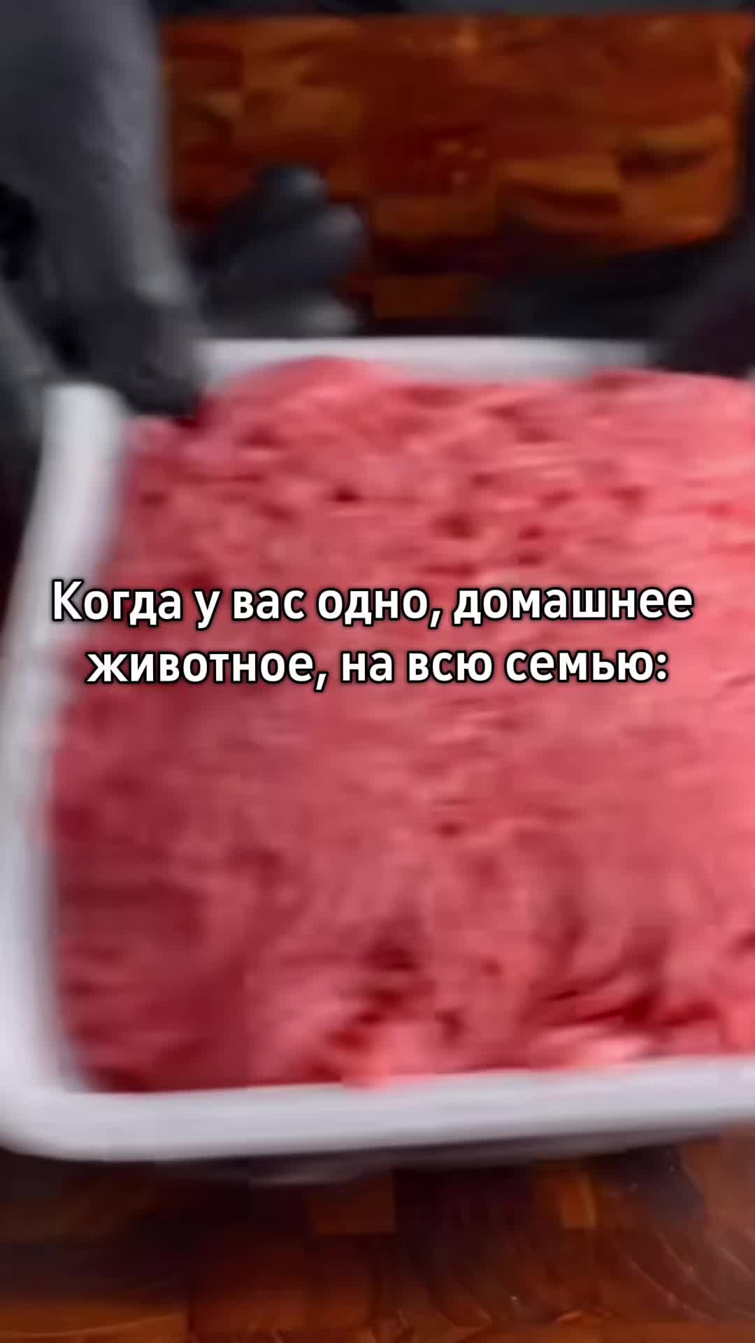 @Щп Ваниль🍙