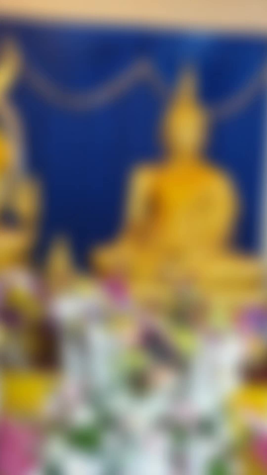 @ksonpimonswat