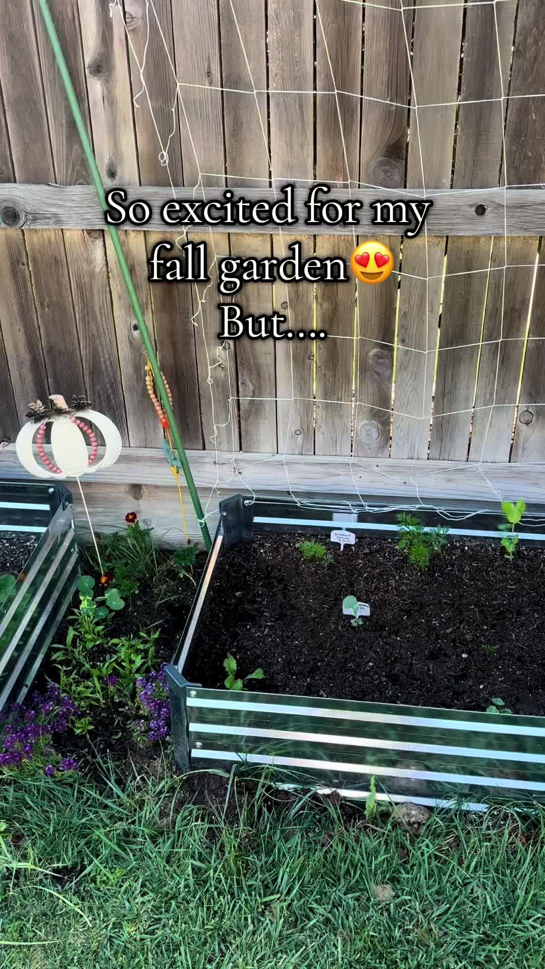 @plantingwithe