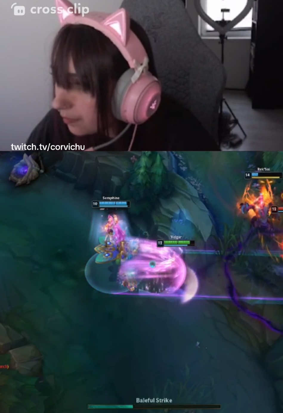 @corvi.chu