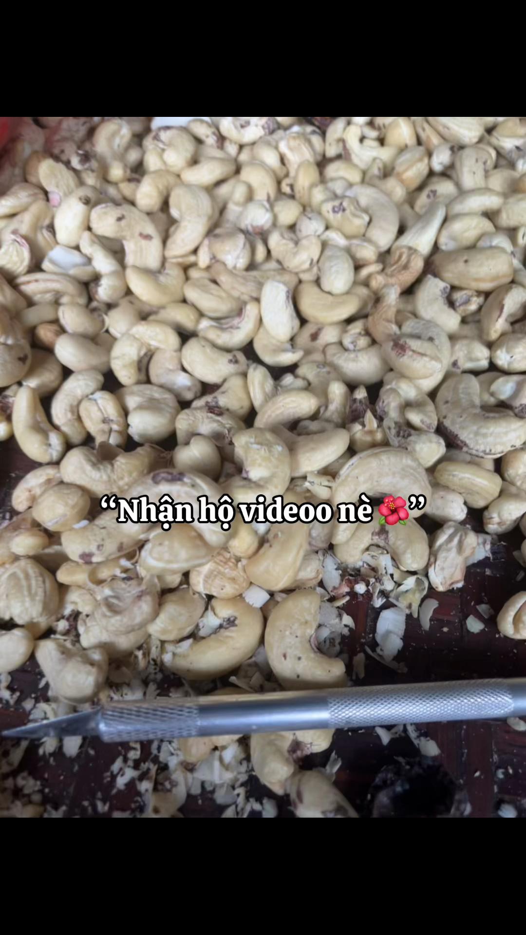 @Cá iu