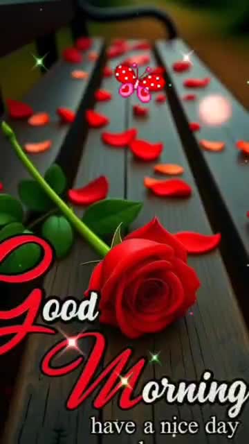 @Saraswathy k