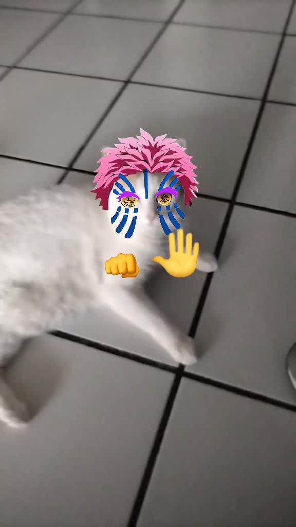 @Sofia Akuma