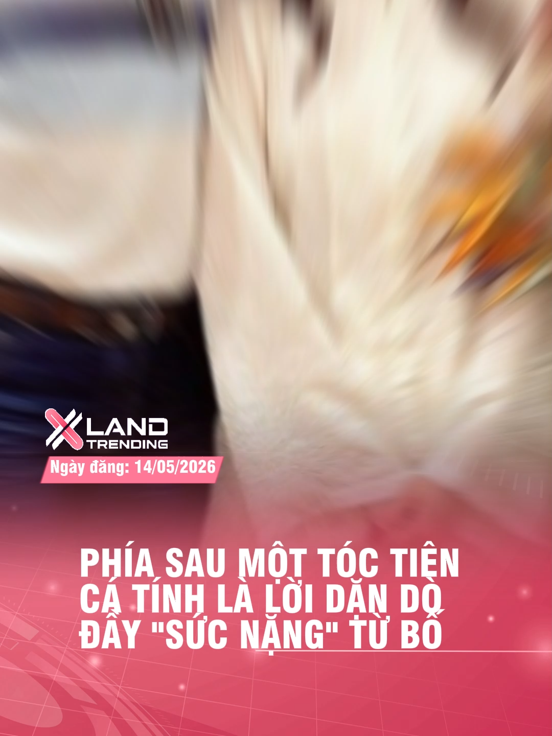 @XLAND TRENDING