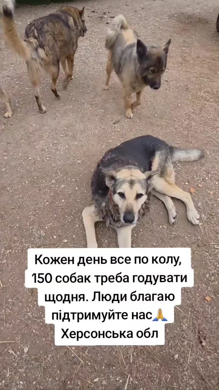 @tvarinkidobra