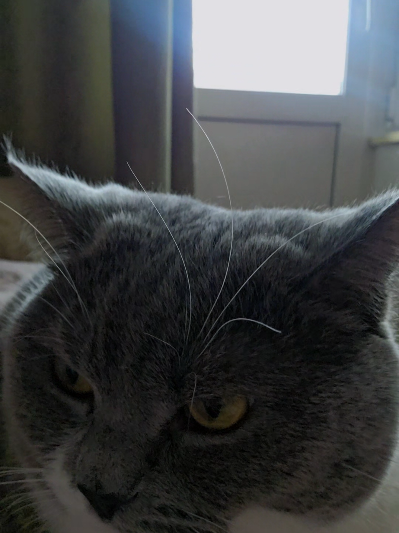 @едуем