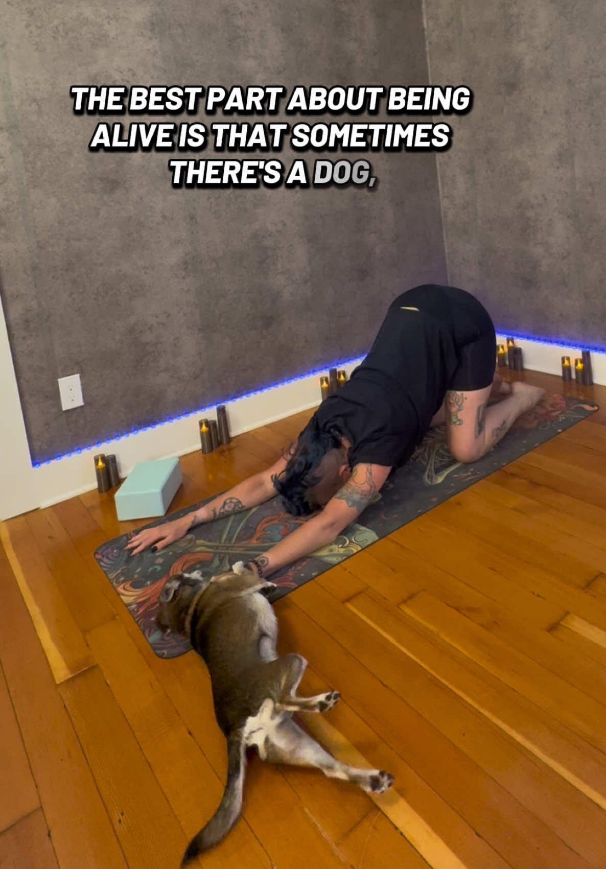 @April Fox - Yoga Kinda Rocks