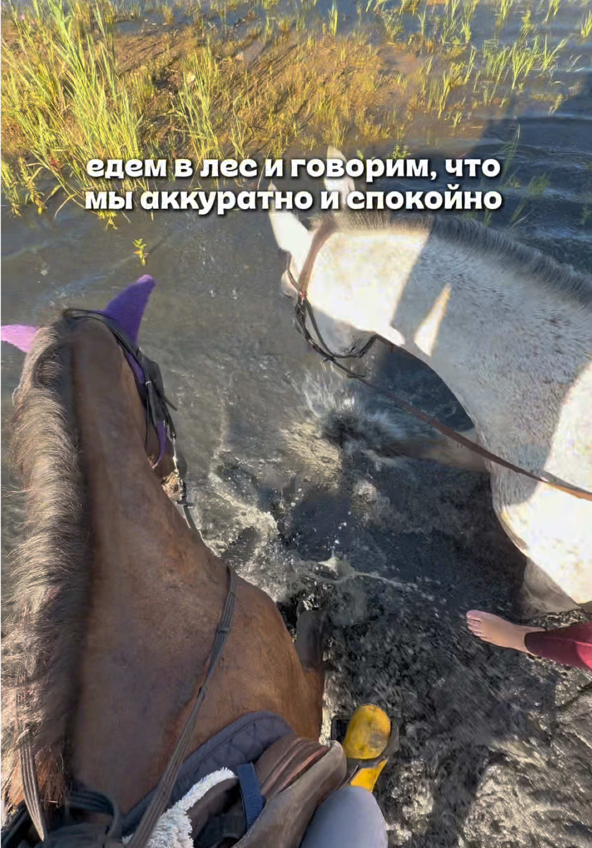 @тгк: JENJUMP