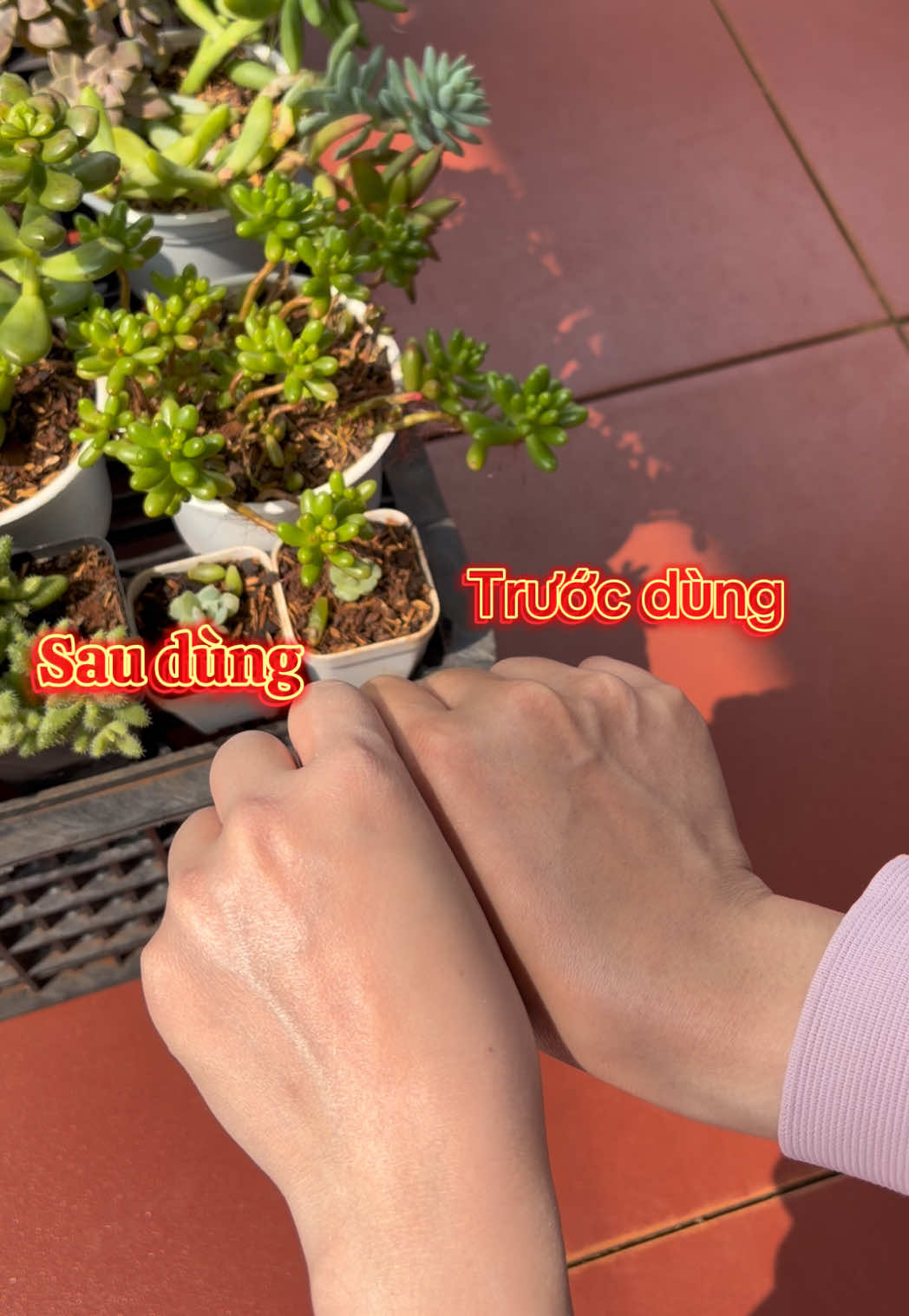 @Lì Tây Nguyên