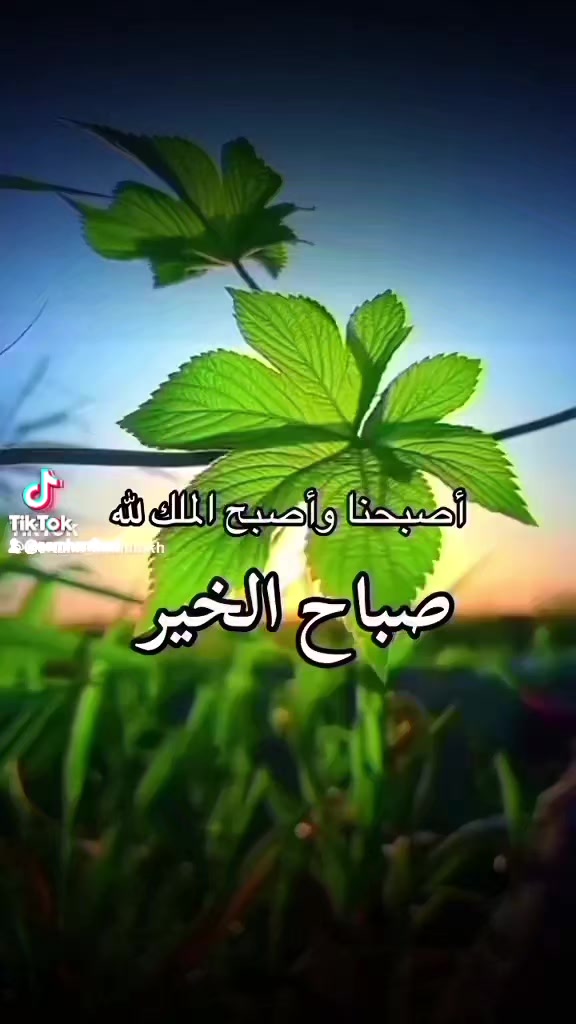 @الحارث