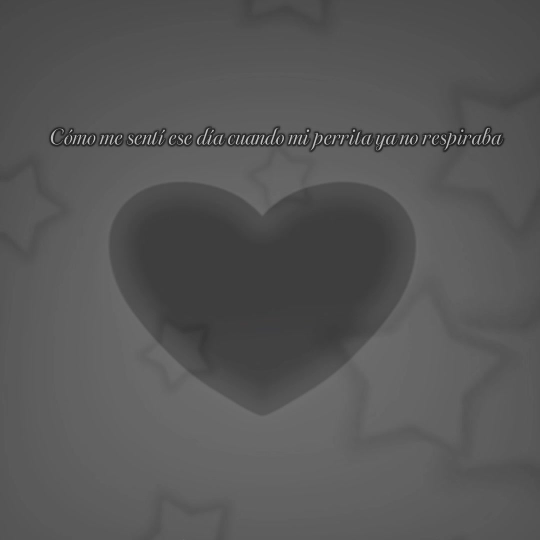 @{★아르웬★}