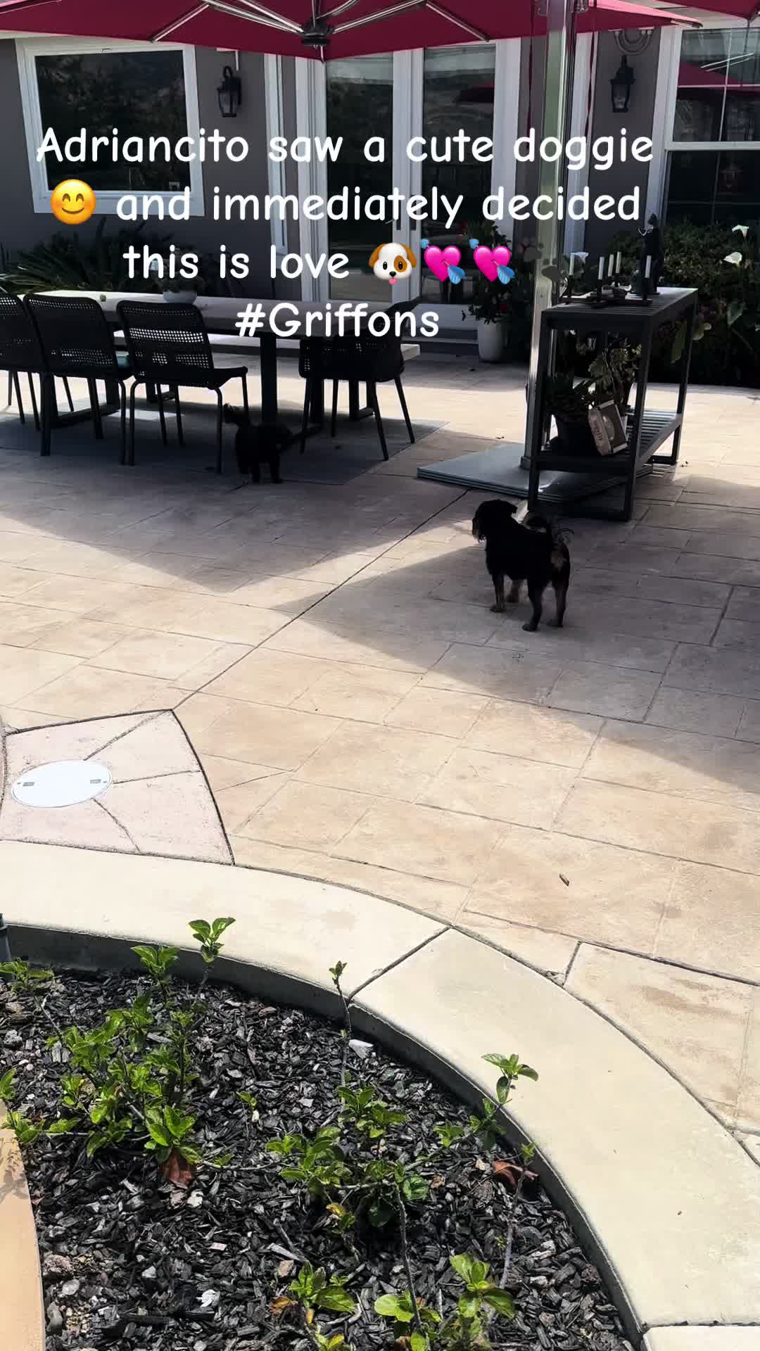 @LifeWithAdriancito
