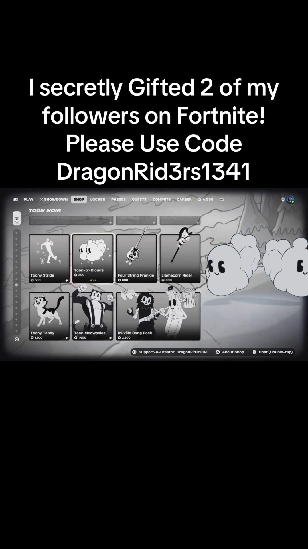 @teamdragonsx1s
