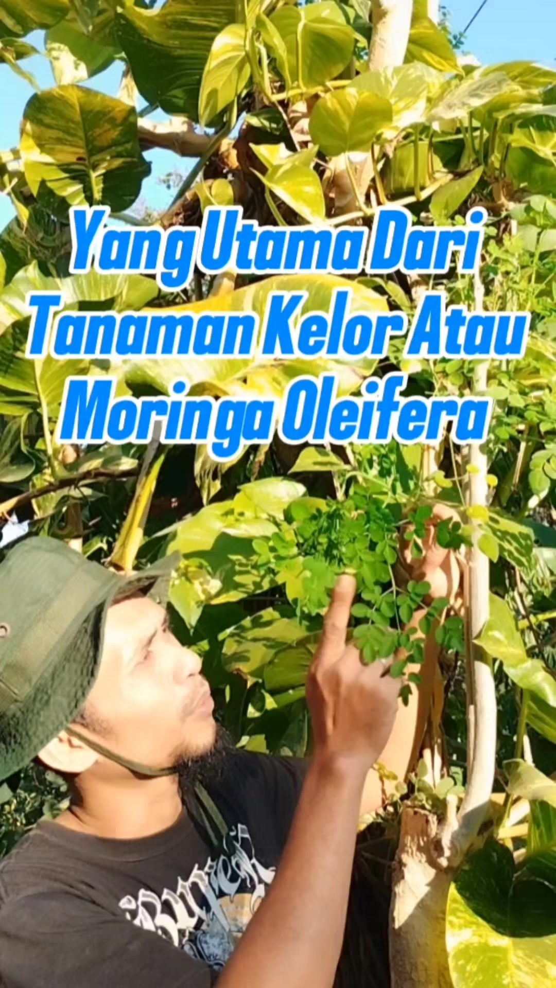 @Bukit Farming