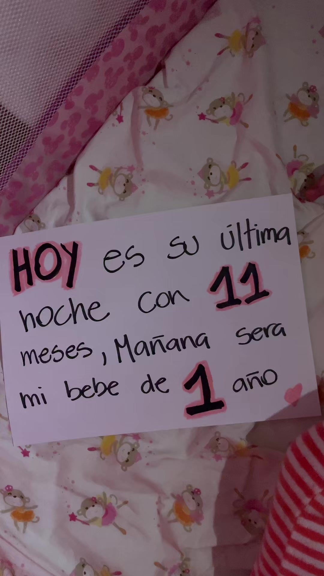@Maria Andrea Dávila Smith