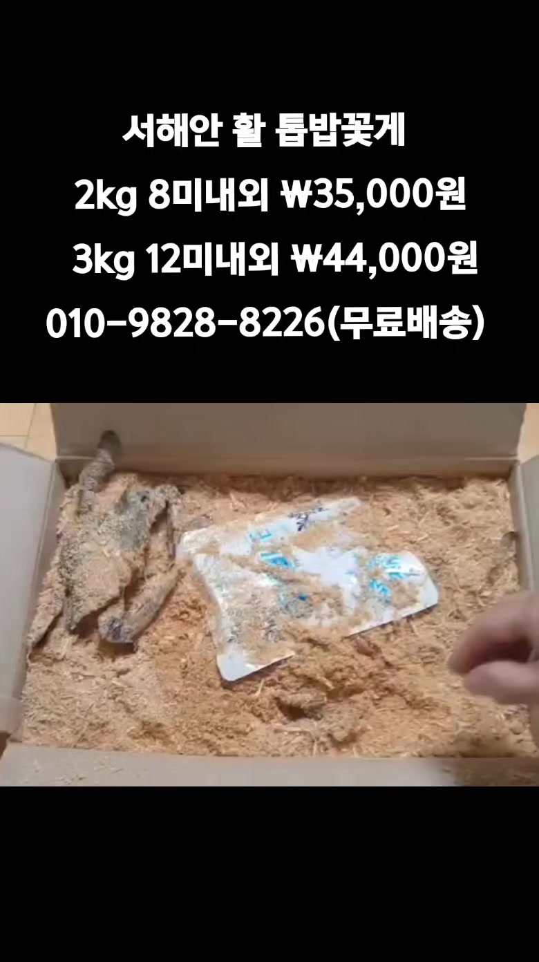 @똑손