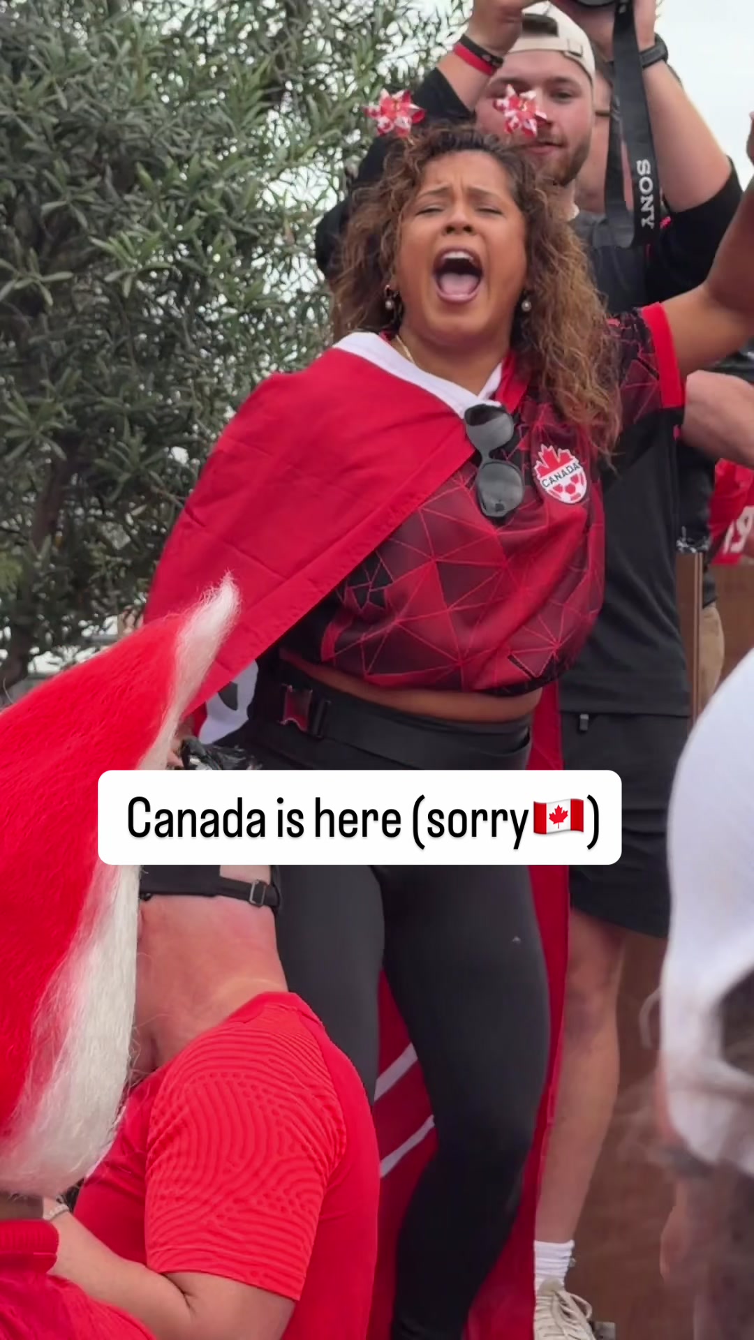@TSN
