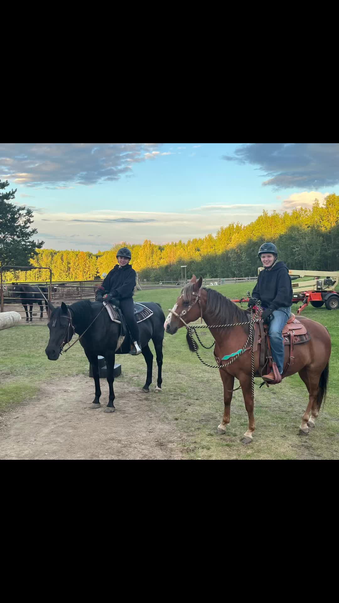 @Pigeon Lake Horse Drawn 🇨🇦